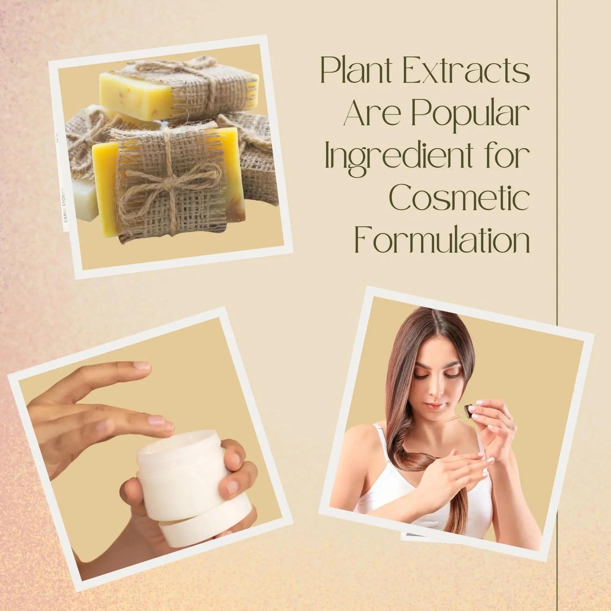 Líquido Anti-Hair Loss Essence - Hair Care For Hair Loss avaliação e preço